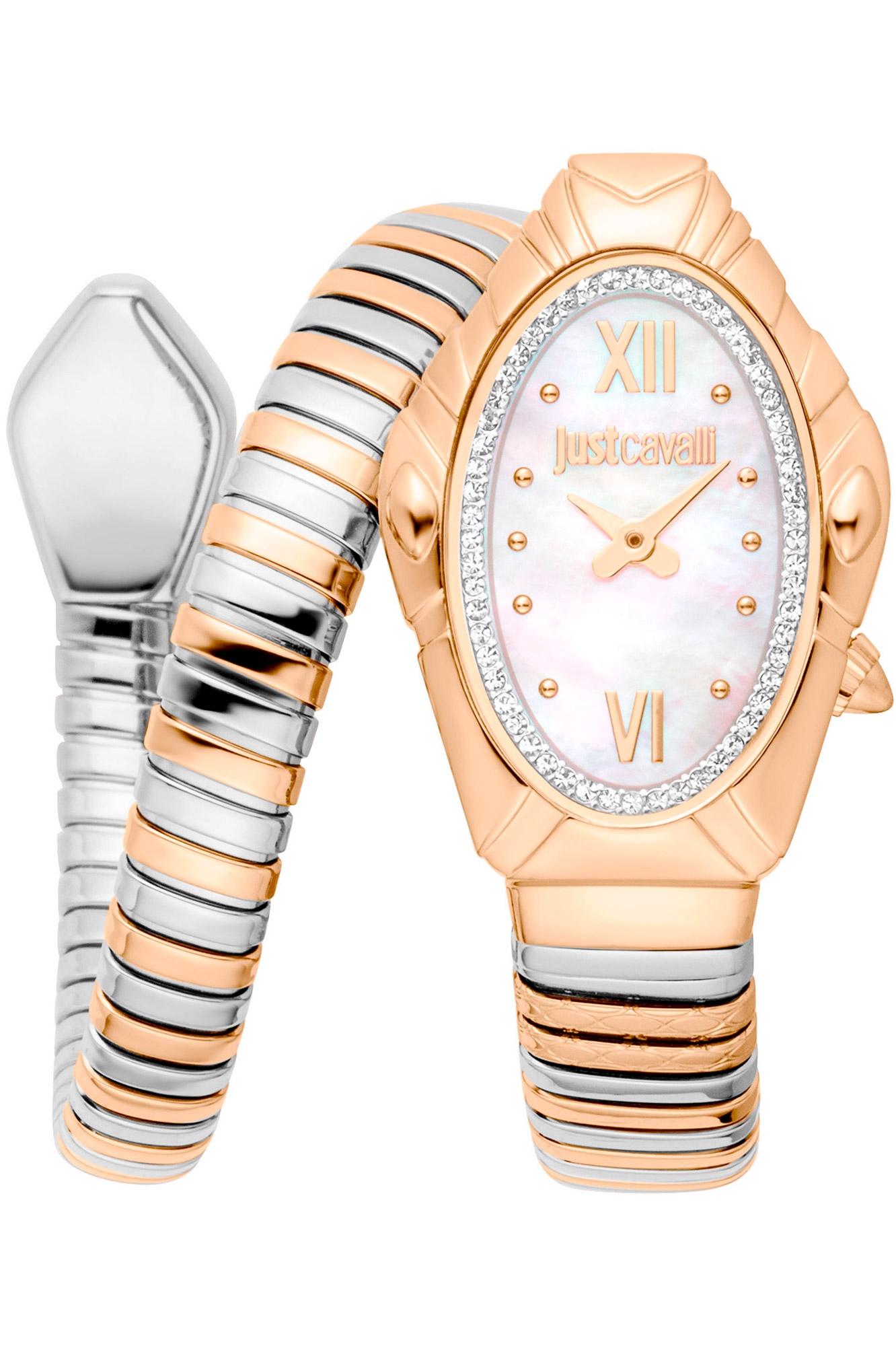 JUST CAVALLI Mod. JC1L357M0055