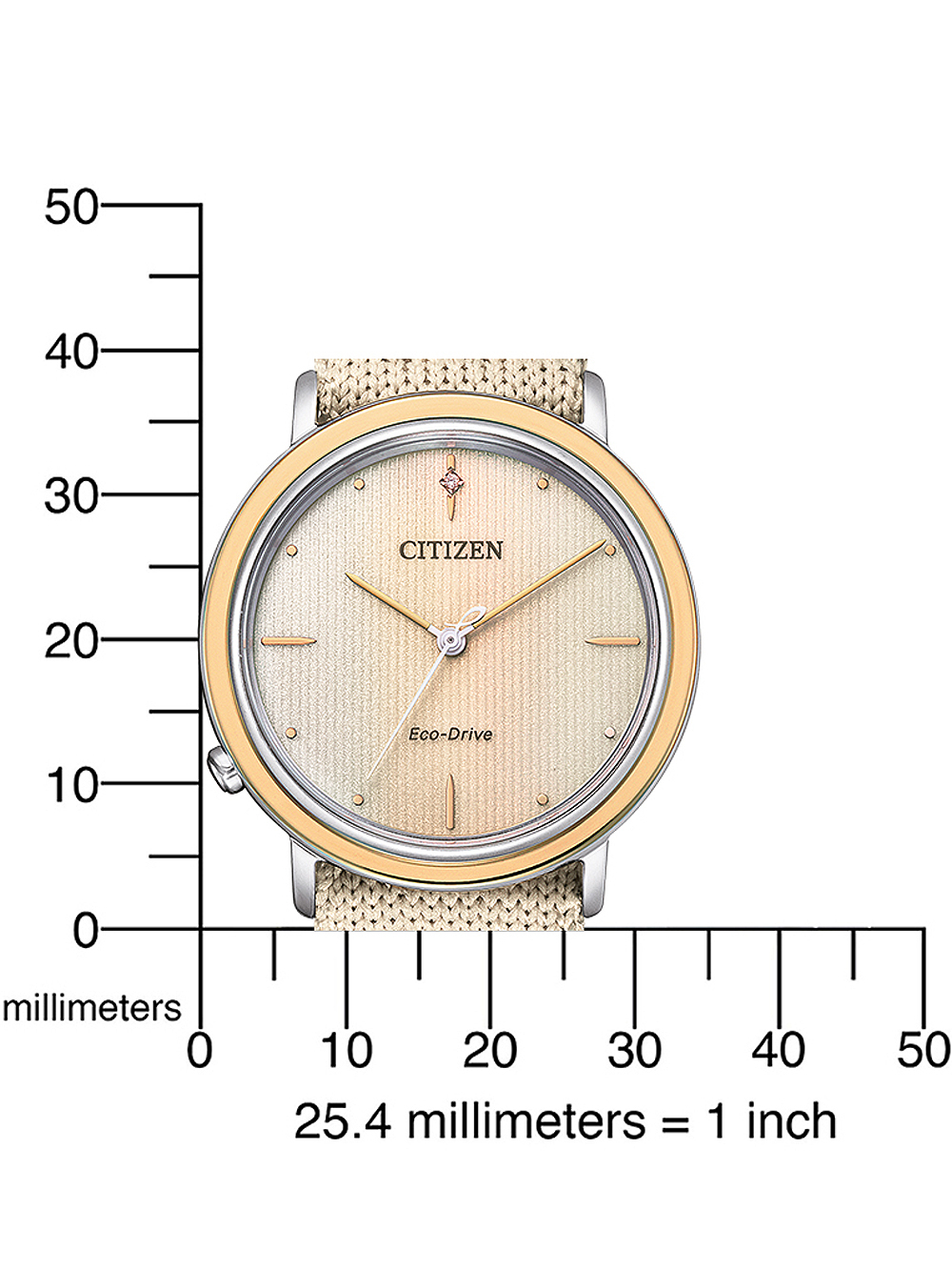 CITIZEN Mod. EM1006-40A