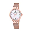 FESTINA WATCHES Mod. F20716/1