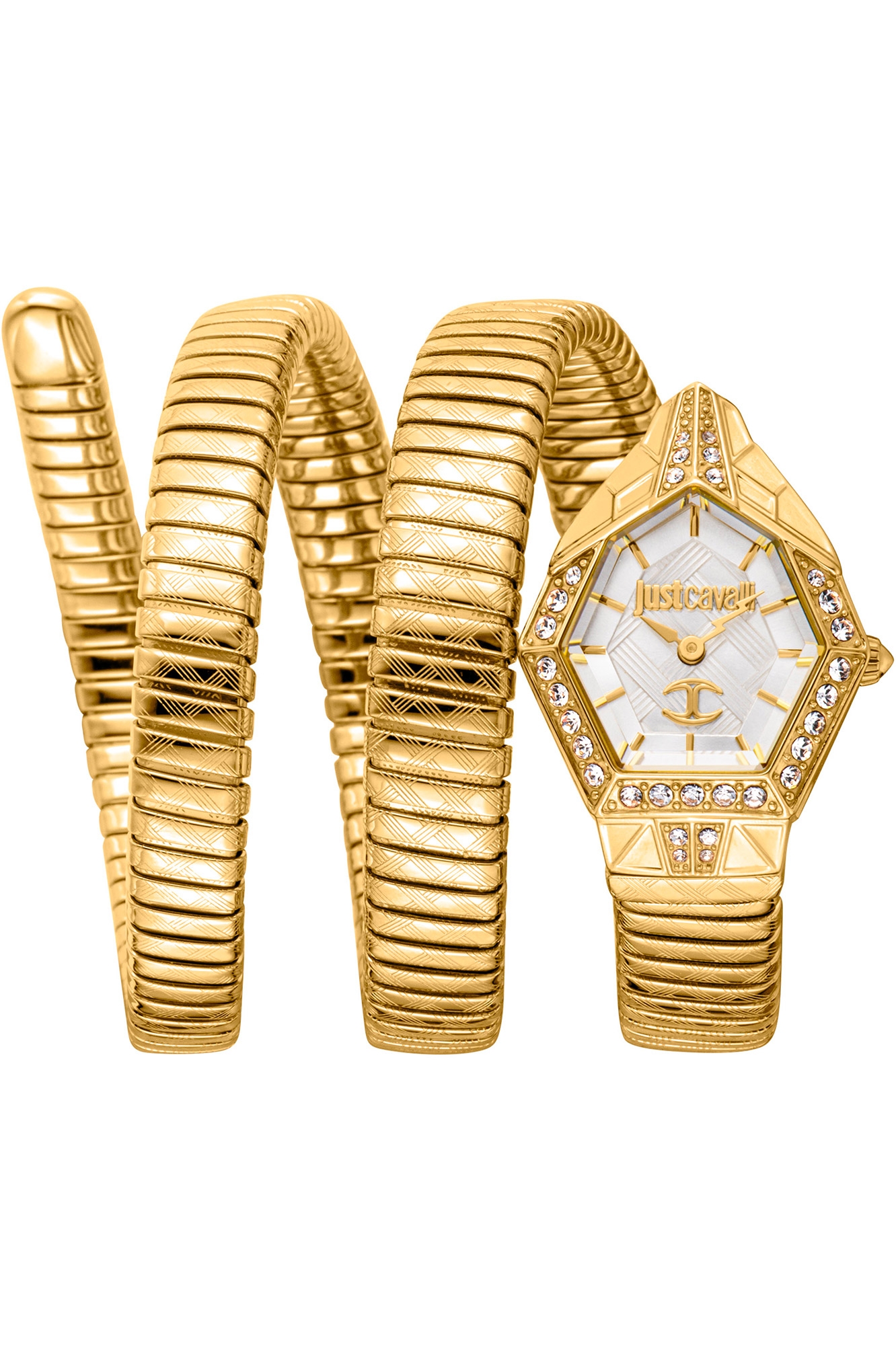 JUST CAVALLI WATCHES + BOX MOD. JC1L304M0025