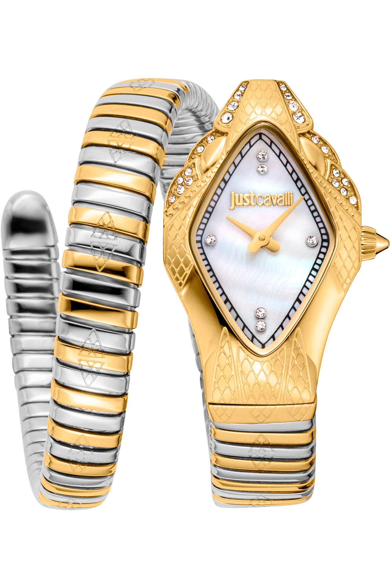JUST CAVALLI Mod.JC1L306M0065